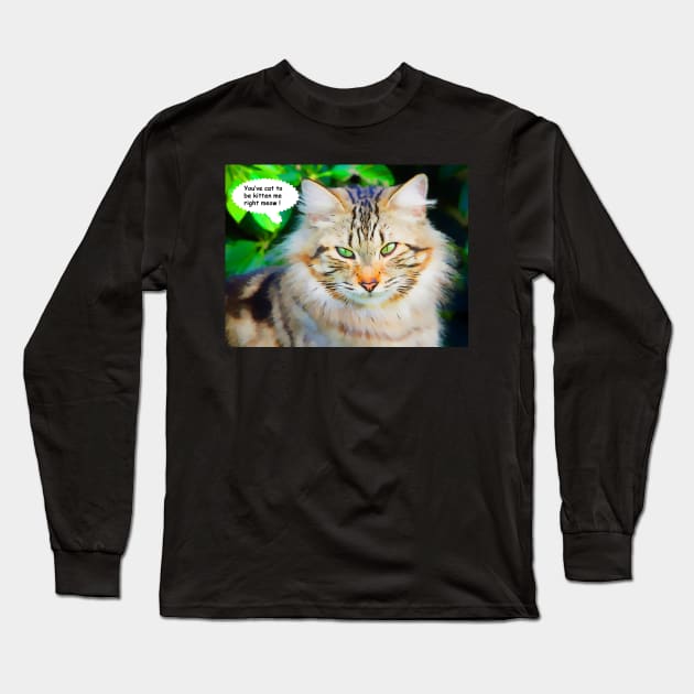 You've Cat to be Kitten Me Right Meow Long Sleeve T-Shirt by jillnightingale
